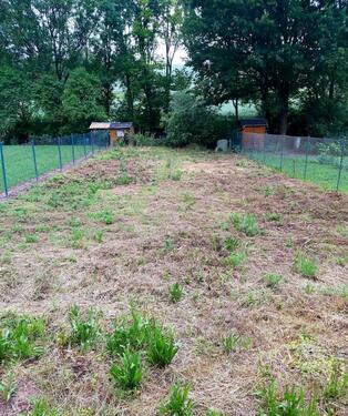 Foto - Gartengrundstück mit angrenzendem Bachlauf und Gerätehaus !