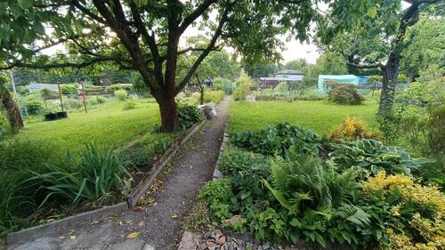 Foto - Grundst&uuml;ck zur Miete in Plauen