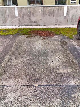 Foto - andere zur Miete in Braunschweig