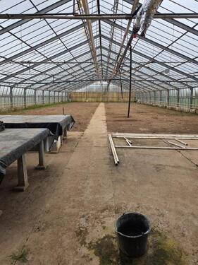 Foto - Ehemalige Gärtnerei zu verpachten