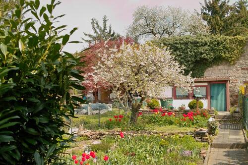 Foto - 3 Zimmer Einfamilienhaus in Bad Sooden-Allendorf