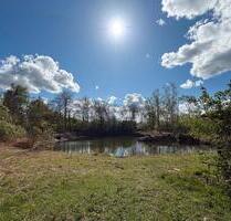 Schöner Fischteich in der Nähe von Kalkar