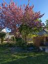 Foto - Einfamilienhaus in Malente zum Kaufen