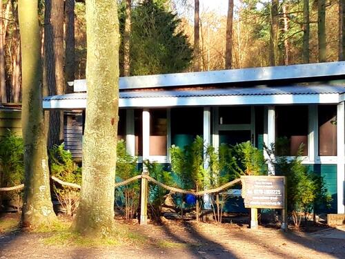 Foto - Bungalow an der Ostsee Graal-Müritz zu vermieten