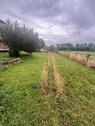 Foto - Kleiner Garten – wir verpachten unser Grundstück in Zülpich-Geich