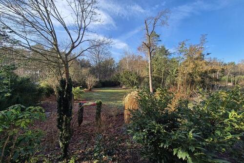 Foto - 5 Zimmer Einfamilienhaus zur Miete in Gifhorn