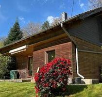 Freistehendes Ferienhaus mitten im Wald mit Sauna - Schalkenbach