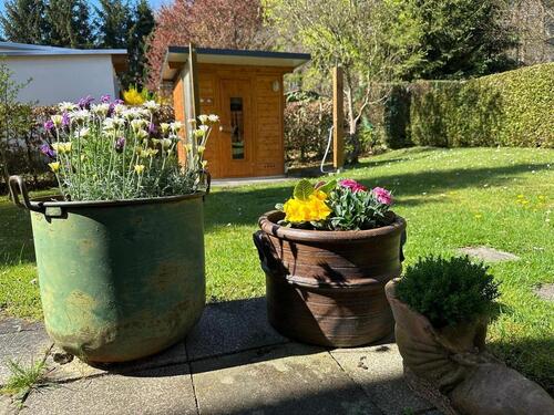 Foto - Einfamilienhaus in Schalkenbach