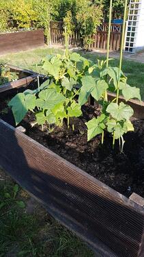 Foto - Grundst&uuml;ck zum Kaufen in Reinfeld (Holstein)