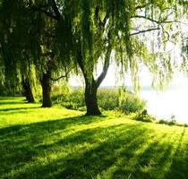 6 Zimmer Wohnung zwischen Wismar und Rostock in Warin