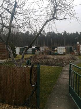 Foto - Grundst&uuml;ck zur Miete in Hoyerswerda