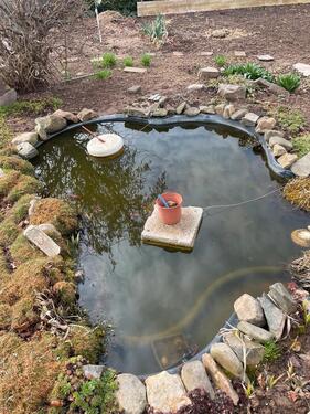Foto - Grundst&uuml;ck in Chemnitz zur Miete