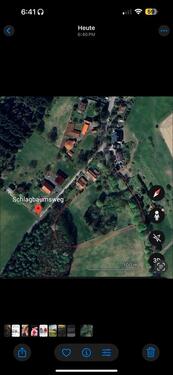 Foto - Stellplatz von ca. 1 Hektar Land für Hochland Rinder