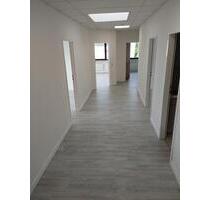 Schöne Bürofläche im 1.OG – ca. 142 m², ab 01.04.2026 oder früher - Hamburg Wandsbek