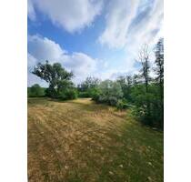 Erstbezug nach Sanierung - 4-RW - Balkon - Bad mit Wanne - Aufzug - PKW-Stellplatz - Magdeburg Brückfeld