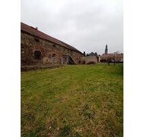 Weideland - Weide - Wiese - Stall zu verpachten - Löbau