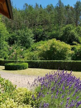 Foto - Etagenwohnung zur Miete in Weigendorf