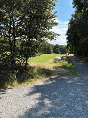 Foto - Grünland, Wiese, Weideland - 6,00&nbsp;EUR Kaltmiete, ca.&nbsp; 0,00&nbsp;m&sup2;