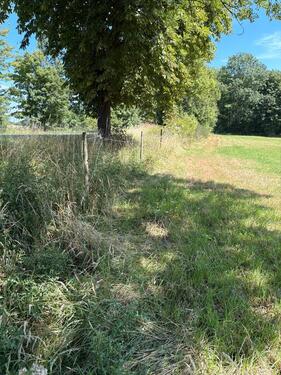 Foto - Grundst&uuml;ck zur Miete in Windhagen