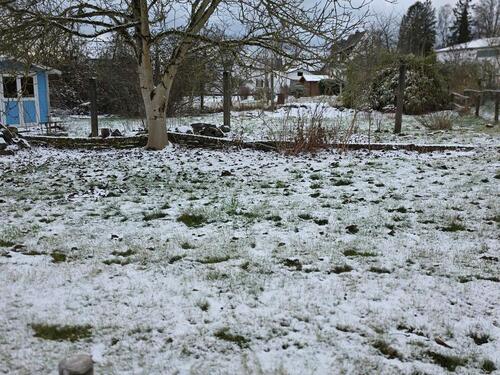 Foto - Grundst&uuml;ck zur Miete in Much