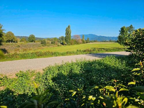 Foto - Etagenwohnung in Emmendingen zur Miete