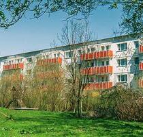 1-Raum-Wohnung im Erdgeschoss - 240,00&nbsp;EUR Kaltmiete, ca.&nbsp; 34,11&nbsp;m&sup2; in Prenzlau (PLZ: 17291)