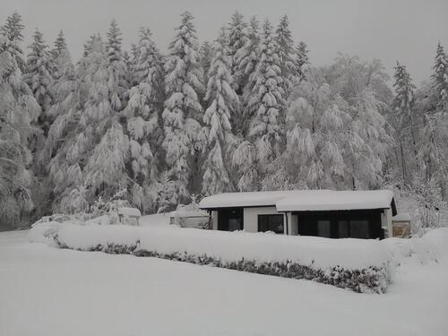 Foto - andere in Schöfweg zur Miete