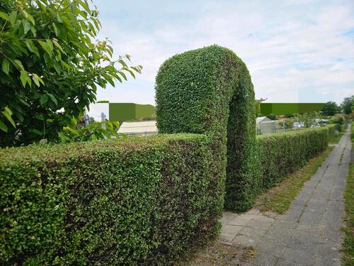 Foto - Kleingarten In Cotta - 4.300,00&nbsp;EUR Kaltmiete, ca.&nbsp; 0,00&nbsp;m&sup2;