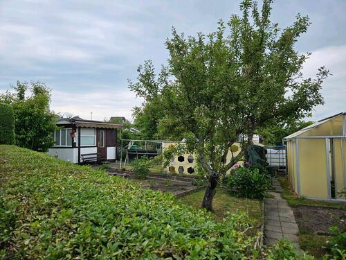 Foto - Grundst&uuml;ck in Dresden