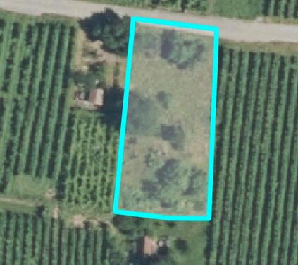 Foto - Verpachtung Gartengrundstück 5a in den Weinbergen Ludwigsburg