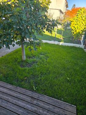 Foto - 2 Zimmer Etagenwohnung in Eigeltingen