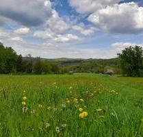 Große 3 Zimmer Wohnung - 800,00&nbsp;EUR Kaltmiete, ca.&nbsp; 98,00&nbsp;m&sup2; in Schlangenbad (PLZ: 65388)