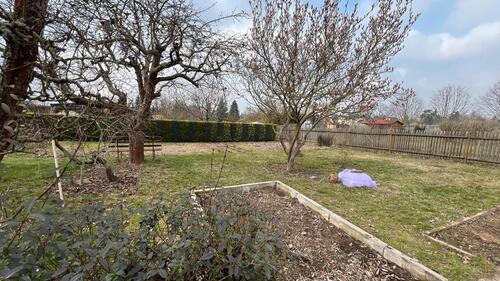 Foto - Grundst&uuml;ck in Grimma zur Miete