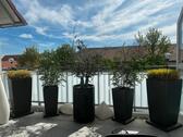 Foto - Maisonettenwohnung in Mutterstadt zum Kaufen