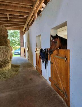 Foto - 2 Zimmer Etagenwohnung zur Miete in Langenburg