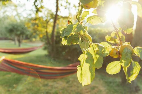 Foto - 1 Zimmer Dachgeschoßwohnung in Rostock
