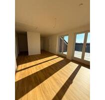 Wohnung in Lohne zu vermieten ab sofort! - Lohne (Oldenburg)