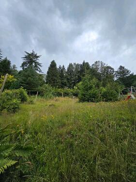 Foto - Einfamilienhaus in Neuhaus am Rennweg zum Kaufen