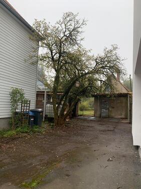 Foto - Einfamilienhaus in Erkenbrechtsweiler