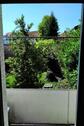 Foto - Verkauf MFH (6 Whng, 3 Balkone) Nauwieser Viertel, voll vermietet