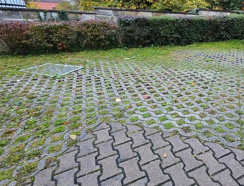 Foto - Etagenwohnung zur Miete in Dresden