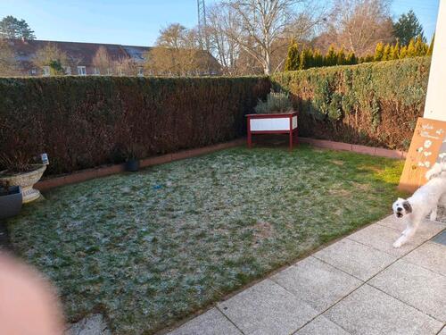 Foto - Etagenwohnung in Ratekau zur Miete