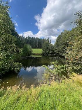 Foto - Erster Monat kostenlos! Naturparadies zur Pacht: Idyllische Parzellen an zwei BadeseenTeichen