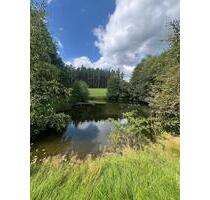 Erster Monat kostenlos! Naturparadies zur Pacht: Idyllische Parzellen an zwei BadeseenTeichen - Marktleuthen