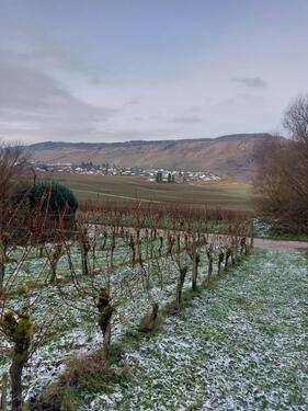 Foto - Kapitalanlage 