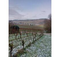 Kapitalanlage | Weinberg | Parzelle | Ferienhaus | Moselblick - Mehring