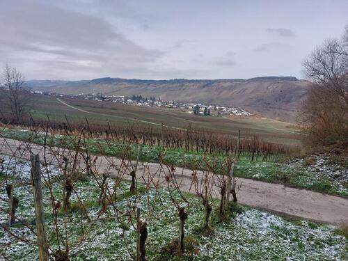 Foto - Grundst&uuml;ck zur Miete in Mehring