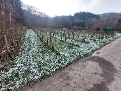 Foto - Grundst&uuml;ck in Mehring
