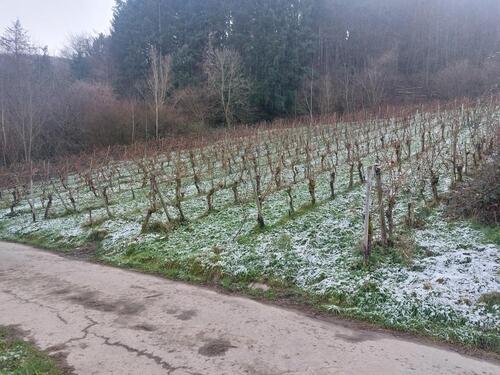 Foto - Grundst&uuml;ck in Mehring zur Miete