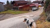 Foto - Einfamilienhaus im idyllischen Dorf, mit allem